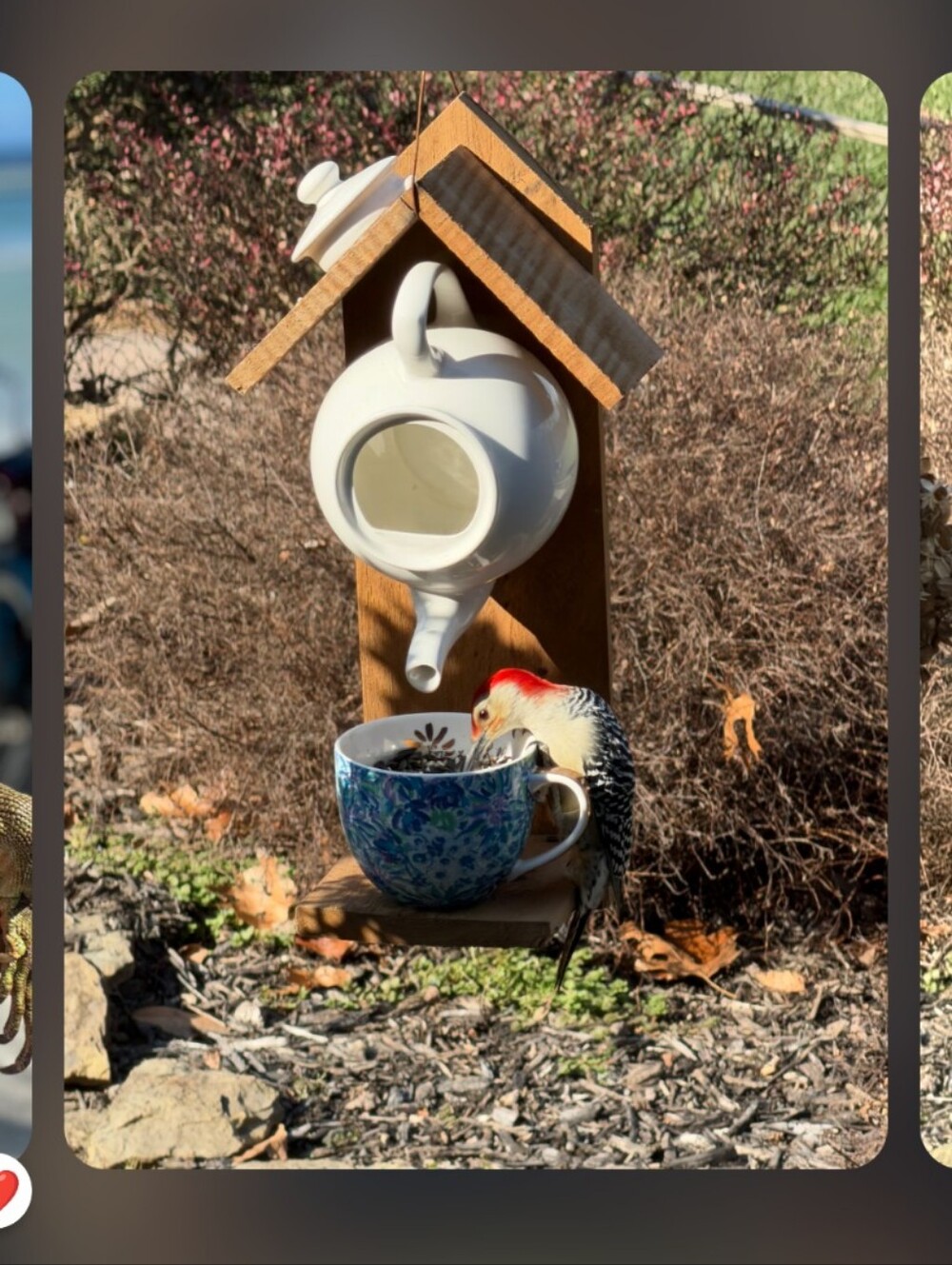 Rustic Wooden Handmade Bird Feeder "Down The Rabbits Hole" - Picture 14 of 16